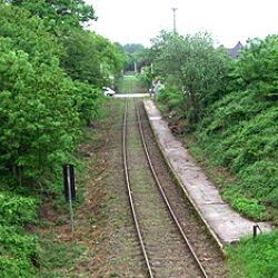 Freischnitt des alten Bahnsteiges Haltepunkt Herzogenrath-Alt Merkstein im September 2004